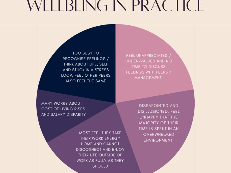 MOST COMMON FEEDBACK THEMES – WELLBEING IN PRACTICE